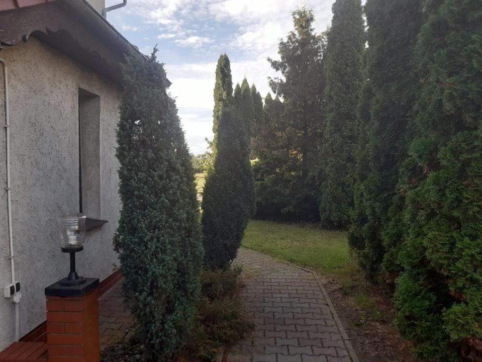 Noclegi Nowogrodziec Kültér fotó