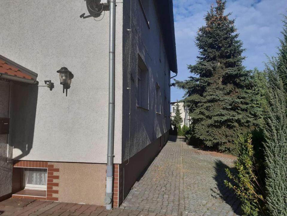 Noclegi Nowogrodziec Kültér fotó